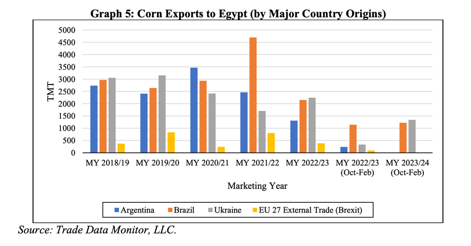 Egyptian Corn Imports Projected to Rise Amidst Feed Industry Recovery, USDA Reports